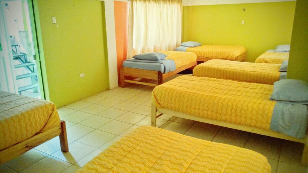The Grasshopper Hostel Cuzco Esterno foto